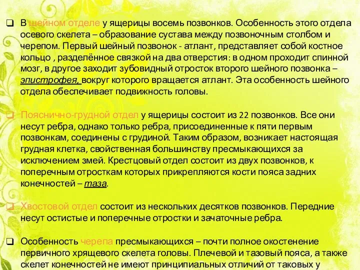 В шейном отделе у ящерицы восемь позвонков. Особенность этого отдела