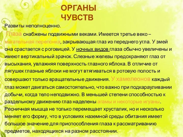 ОРГАНЫ ЧУВСТВ Развиты неполноценно. Глаза снабжены подвижными веками. Имеется третье