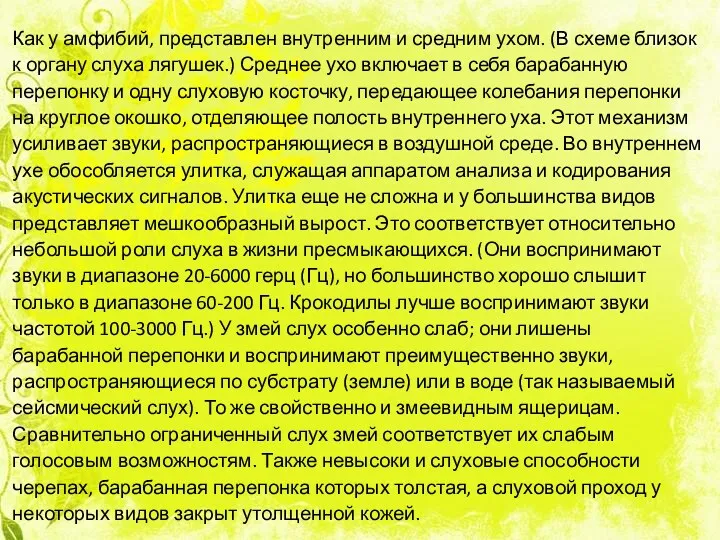 Как у амфибий, представлен внутренним и средним ухом. (В схеме