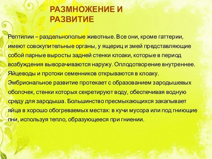 РАЗМНОЖЕНИЕ И РАЗВИТИЕ Рептилии – раздельнополые животные. Все они, кроме