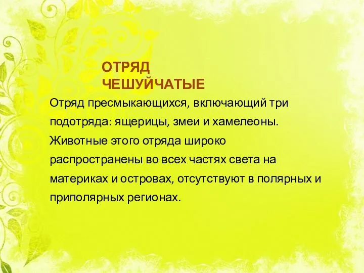 ОТРЯД ЧЕШУЙЧАТЫЕ Отряд пресмыкающихся, включающий три подотряда: ящерицы, змеи и