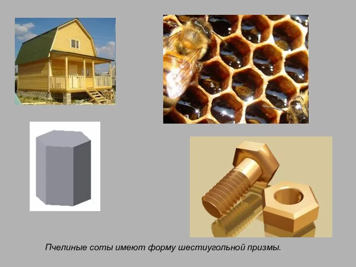 Пчелиные соты имеют форму шестиугольной призмы.