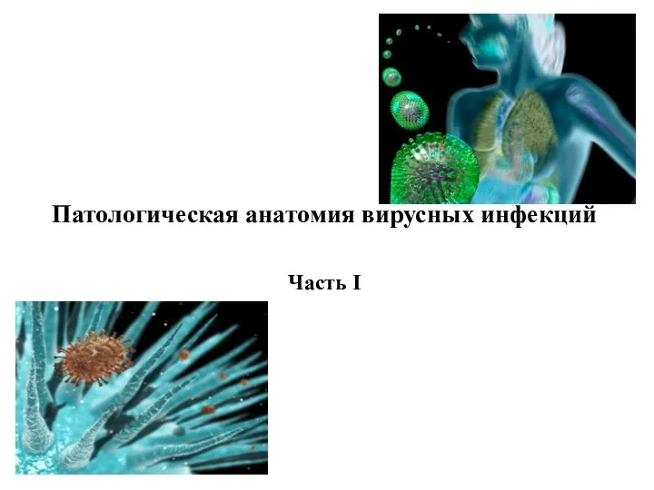Патологическая анатомия вирусных инфекций Часть I
