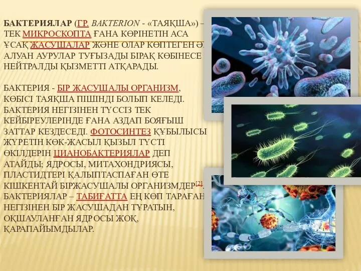 БАКТЕРИЯЛАР (ГР. BAKTERION - «ТАЯҚША») — ТЕК МИКРОСКОПТА ҒАНА КӨРІНЕТІН