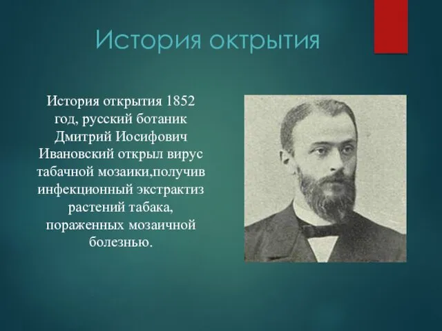 История октрытия История открытия 1852 год, русский ботаник Дмитрий Иосифович