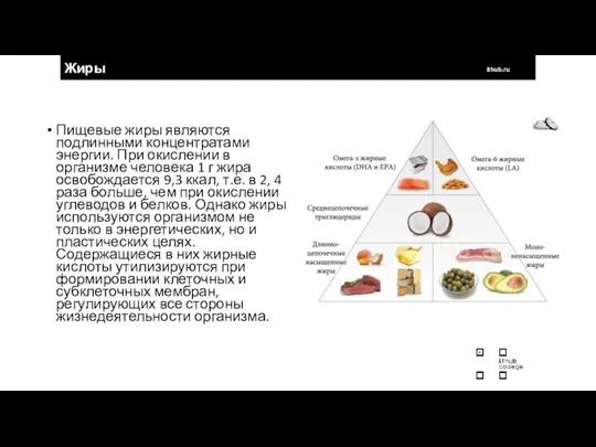 Жиры ithub.ru Пищевые жиры являются подлинными концентратами энергии. При окислении в организме человека