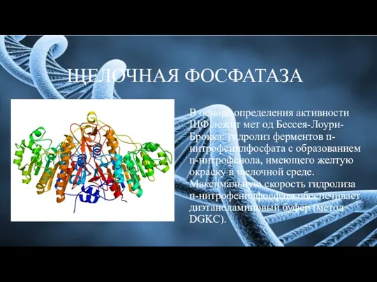 ЩЕЛОЧНАЯ ФОСФАТАЗА В основе определения активности ЩФ лежит мет од