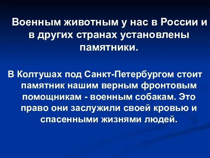 Военным животным у нас в России и в других странах