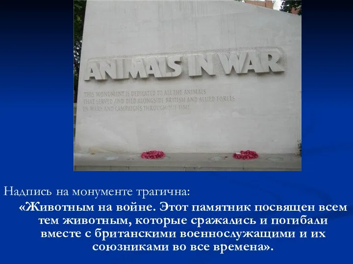 Надпись на монументе трагична: «Животным на войне. Этот памятник посвящен