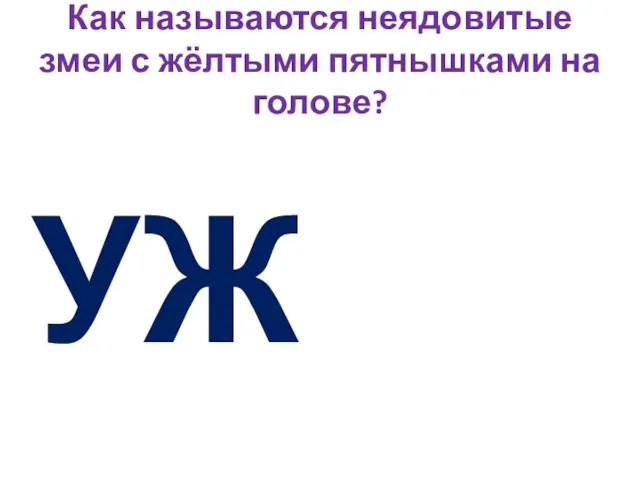 Как называются неядовитые змеи с жёлтыми пятнышками на голове? УЖ_ И