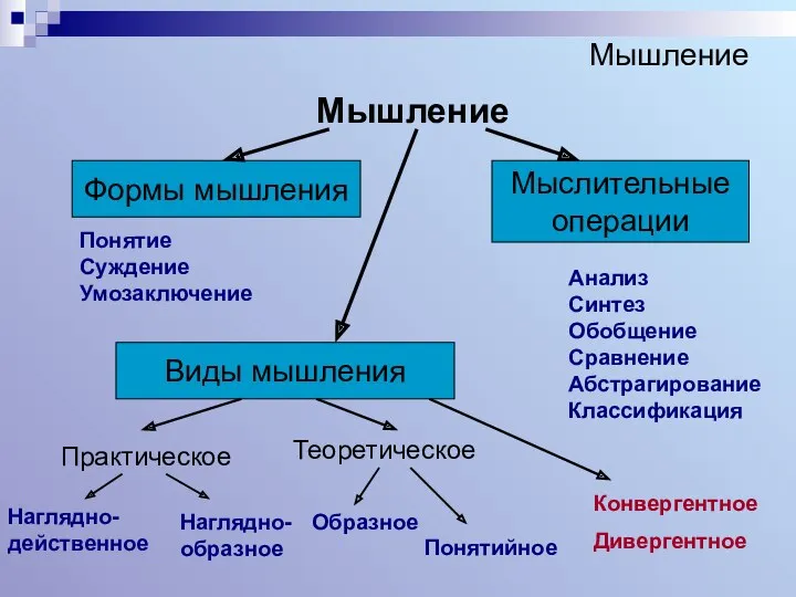 Мышление Мышление Формы мышления Мыслительные операции Понятие Суждение Умозаключение Анализ