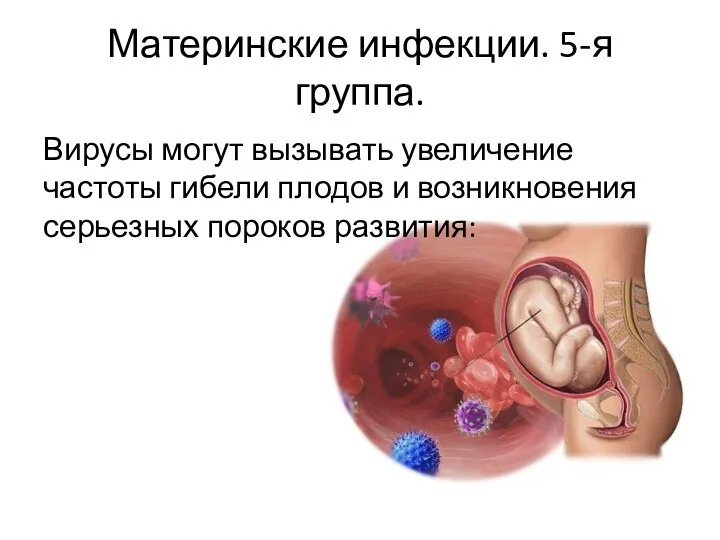 Материнские инфекции. 5-я группа. Вирусы могут вызывать увеличение частоты гибели плодов и возникновения серьезных пороков развития: