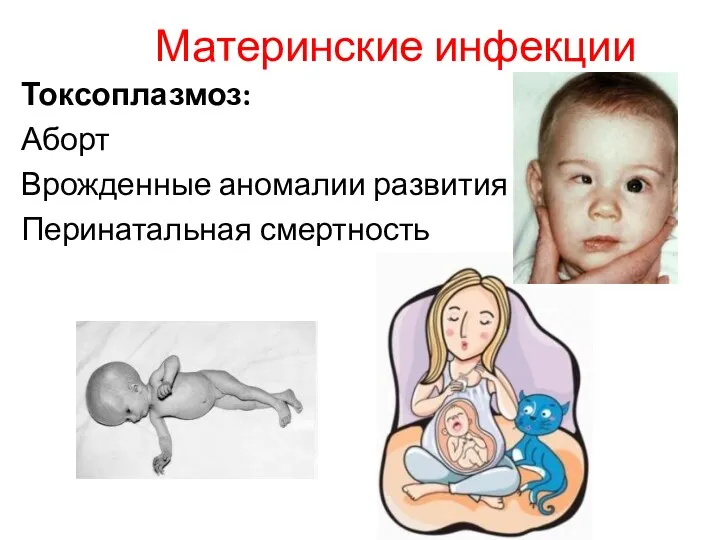 Материнские инфекции Токсоплазмоз: Аборт Врожденные аномалии развития Перинатальная смертность