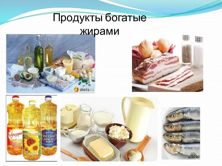 Продукты богатые жирами