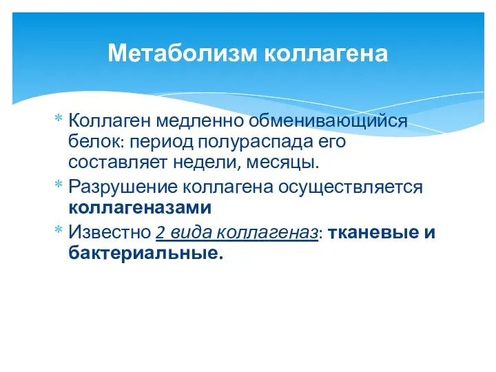 Коллаген медленно обменивающийся белок: период полураспада его составляет недели, месяцы.