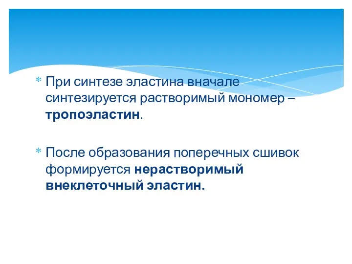 При синтезе эластина вначале синтезируется растворимый мономер – тропоэластин. После