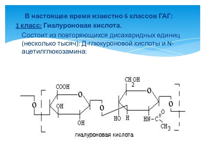 В настоящее время известно 6 классов ГАГ: 1 класс: Гиалуроновая