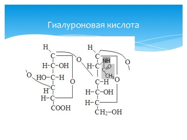 Гиалуроновая кислота