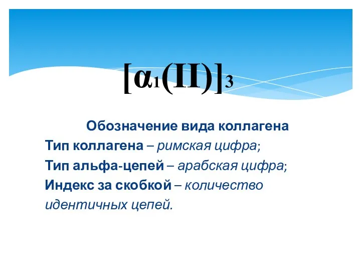 Обозначение вида коллагена Тип коллагена – римская цифра; Тип альфа-цепей