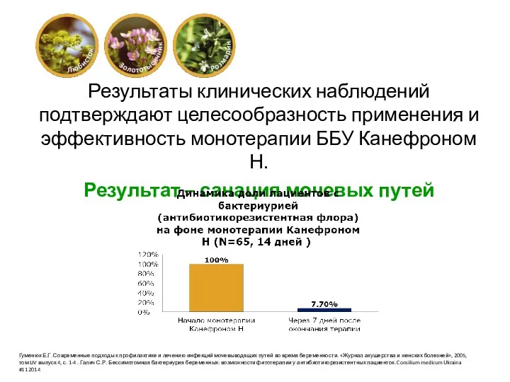 Результаты клинических наблюдений подтверждают целесообразность применения и эффективность монотерапии ББУ