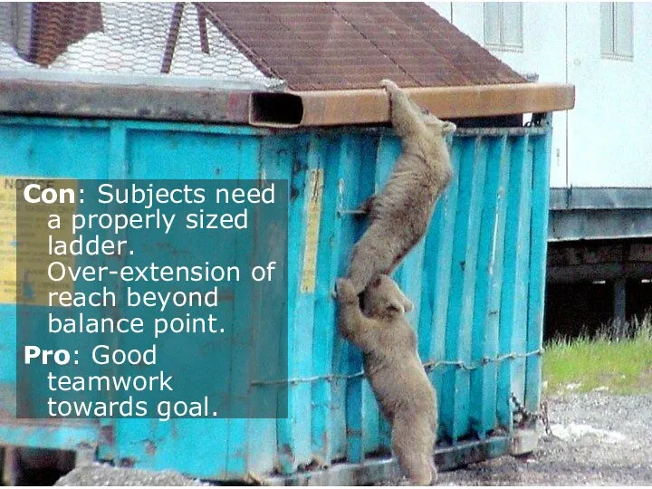 Con: Subjects need a properly sized ladder. Over-extension of reach