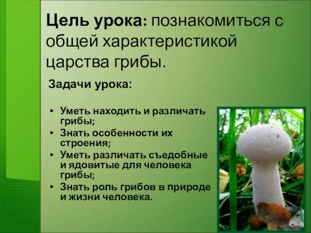 Цель урока: познакомиться с общей характеристикой царства грибы. Задачи урока: