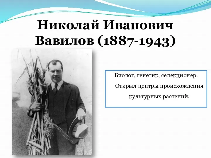 Николай Иванович Вавилов (1887-1943) Биолог, генетик, селекционер. Открыл центры происхождения культурных растений.