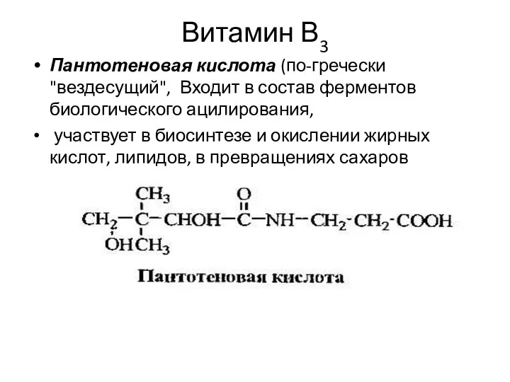 Витамин В3 Пантотеновая кислота (по-гречески "вездесущий", Входит в состав ферментов