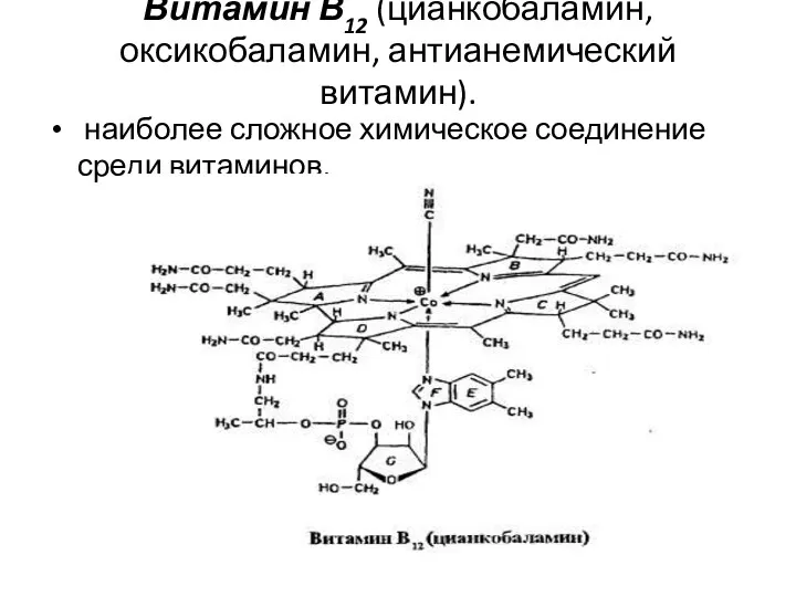 Витамин В12 (цианкобаламин, оксикобаламин, антианемический витамин). наиболее сложное химическое соединение среди витаминов.