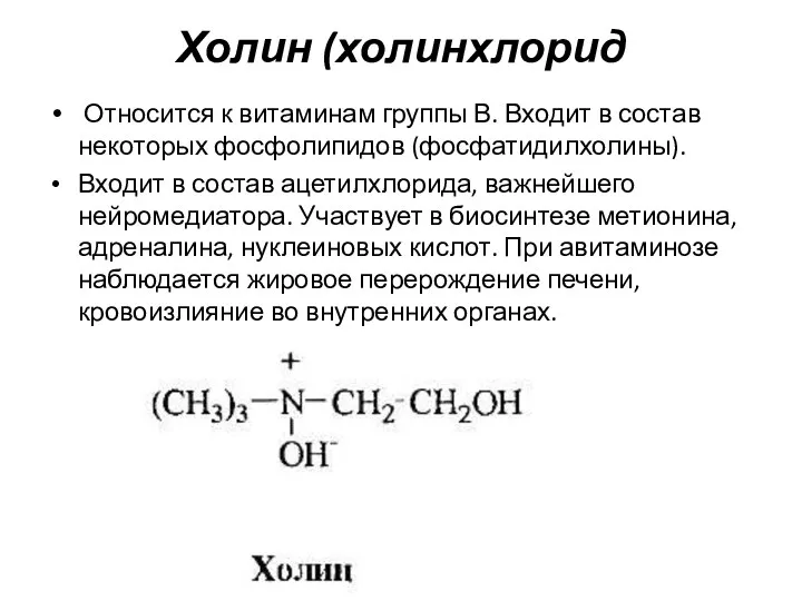 Холин (холинхлорид Относится к витаминам группы В. Входит в состав