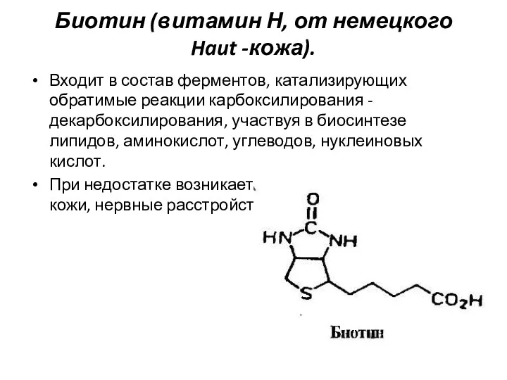 Биотин (витамин Н, от немецкого Haut -кожа). Входит в состав