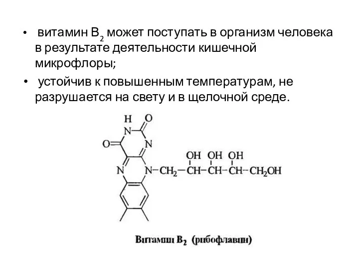 витамин В2 может поступать в организм человека в результате деятельности