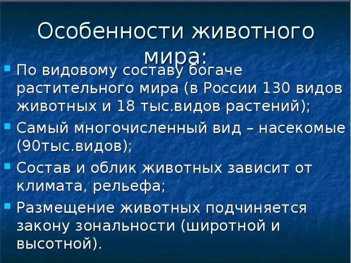 Животный мир России