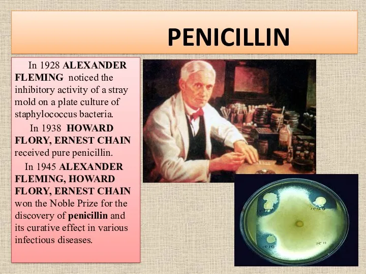 PENICILLIN In 1928 ALEXANDER FLEMING noticed the inhibitory activity of
