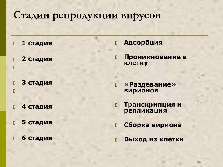 Стадии репродукции вирусов 1 стадия 2 стадия 3 стадия 4