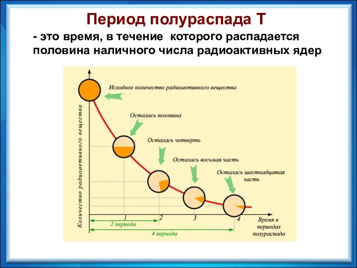 Период полураспада Т - это время, в течение которого распадается половина наличного числа радиоактивных ядер