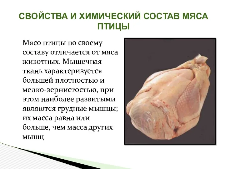 Мясо птицы по своему составу отличается от мяса животных. Мышечная
