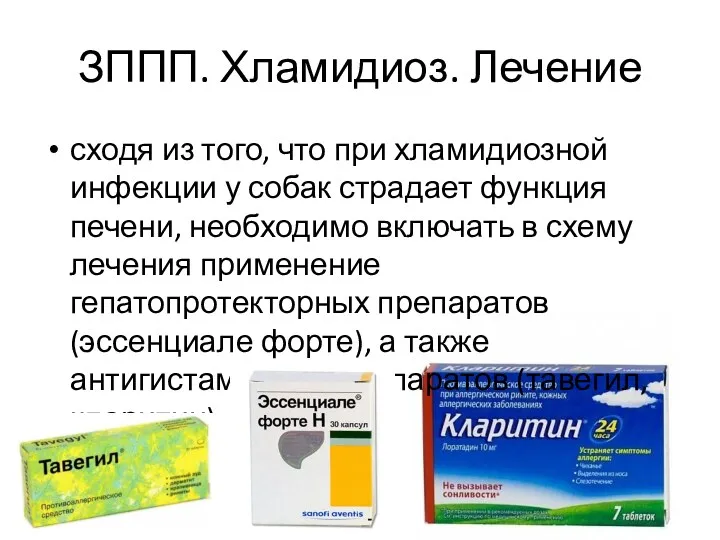 ЗППП. Хламидиоз. Лечение сходя из того, что при хламидиозной инфекции у собак страдает