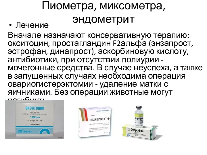 Пиометра, миксометра, эндометрит Лечение Вначале назначают консервативную терапию: окситоцин, простагландин F2альфа (энзапрост, эстрофан,