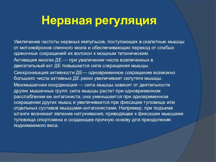 Нервная регуляция Увеличение частоты нервных импульсов, поступающих в скелетные мышцы