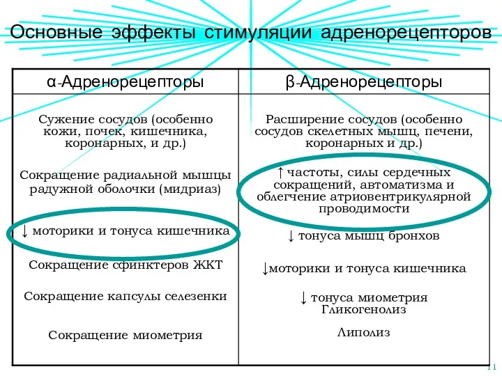 Основные эффекты стимуляции адренорецепторов