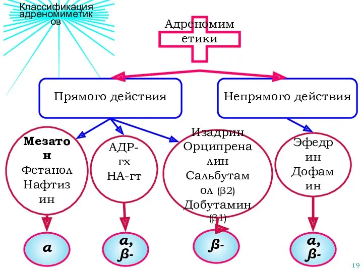 Классификация адреномиметиков Адреномиметики Прямого действия Непрямого действия Эфедрин Дофамин α,