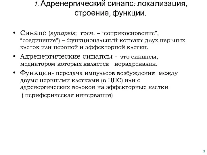 1. Адренергический синапс: локализация, строение, функции. Синапс (synapsis; греч. –