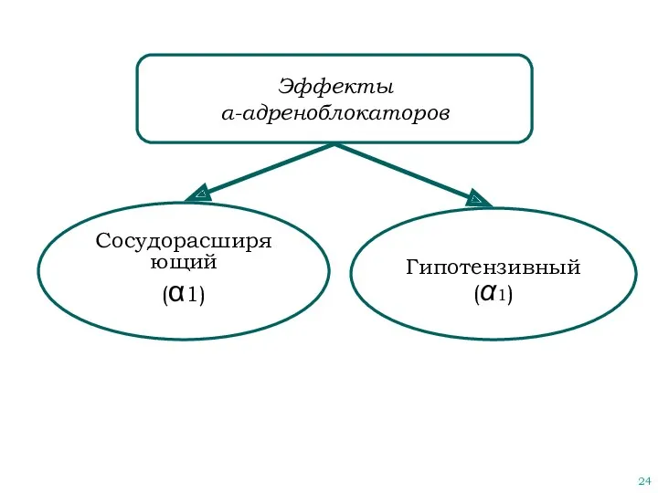 Эффекты α-адреноблокаторов Сосудорасширяющий (α1) Гипотензивный (α1)
