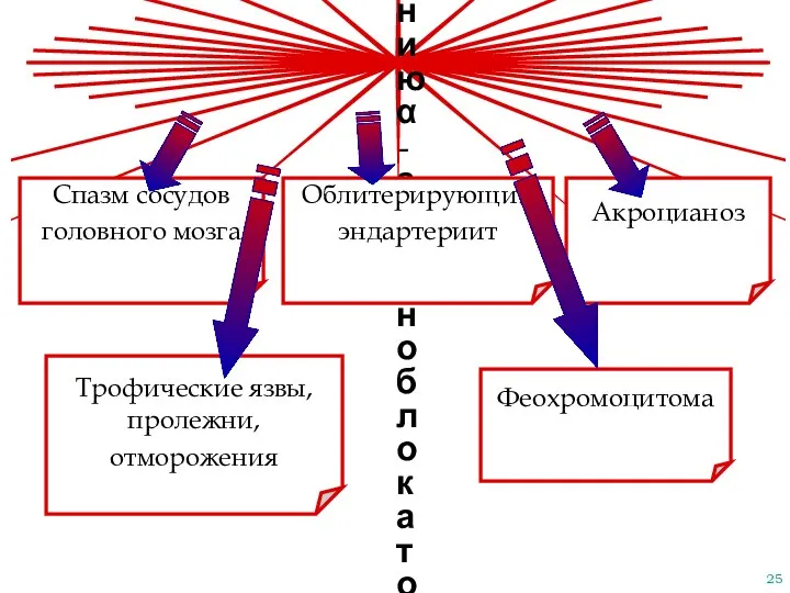 Показания к применению α-адреноблокаторов Спазм сосудов головного мозга Трофические язвы, пролежни, отморожения Акроцианоз Феохромоцитома Облитерирующий эндартериит