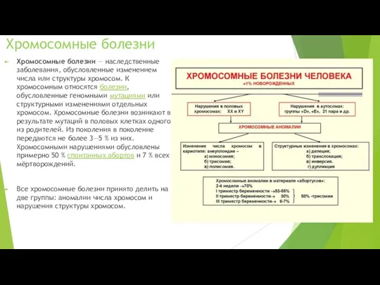 Хромосомные болезни — наследственные заболевания, обусловленные изменением числа или структуры