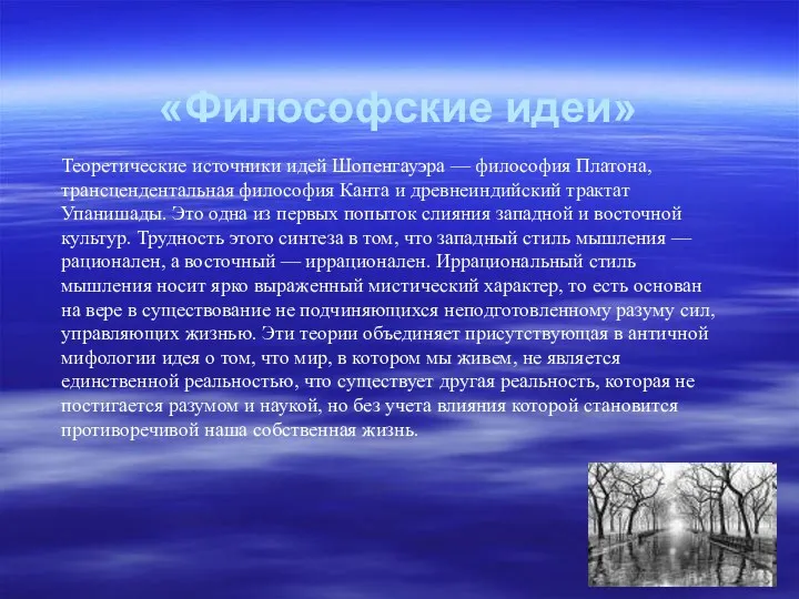 «Философские идеи» Теоретические источники идей Шопенгауэра — философия Платона, трансцендентальная