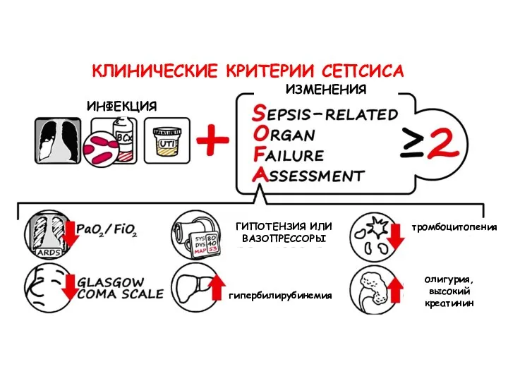 КЛИНИЧЕСКИЕ КРИТЕРИИ СЕПСИСА ИНФЕКЦИЯ ИЗМЕНЕНИЯ тромбоцитопения гипербилирубинемия олигурия, высокий креатинин ГИПОТЕНЗИЯ ИЛИ ВАЗОПРЕССОРЫ