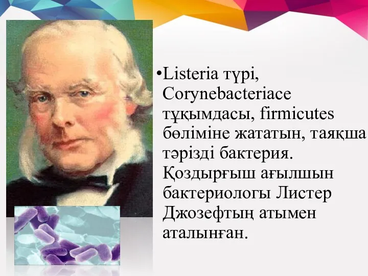 Listeria түрі, Corynebacteriace тұқымдасы, firmicutes бөліміне жататын, таяқша тәрізді бактерия.