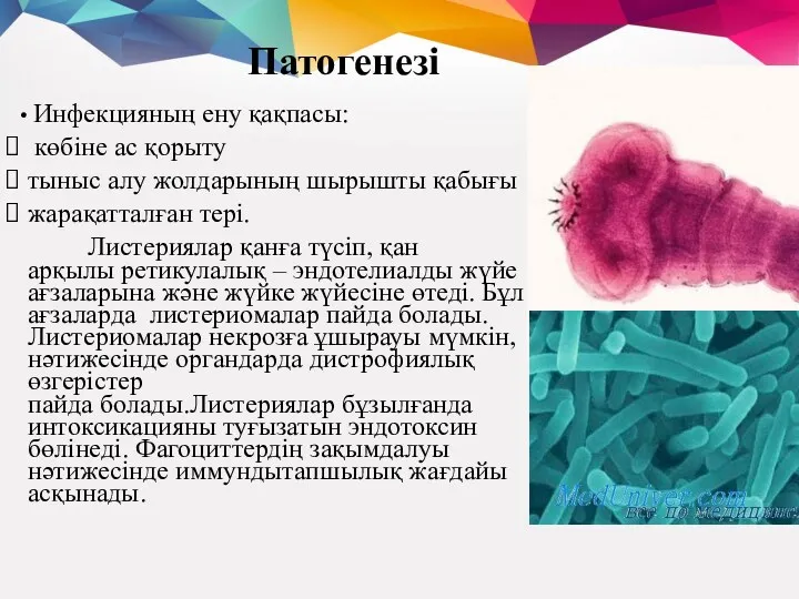 Патогенезі • Инфекцияның ену қақпасы: көбіне ас қорыту тыныс алу